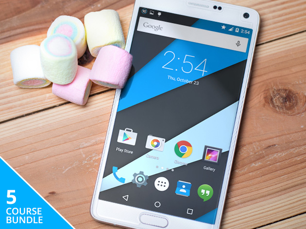 Mastering Android App Reskinning: UI, Text, and Image Customization